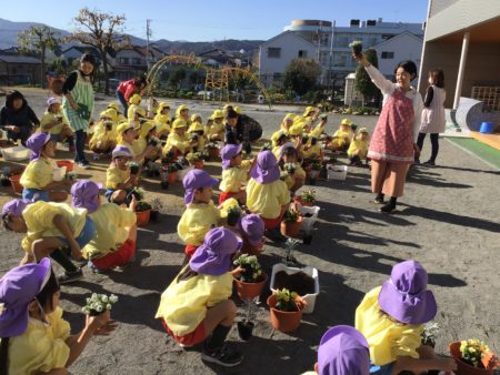 年長さん お花を植えました