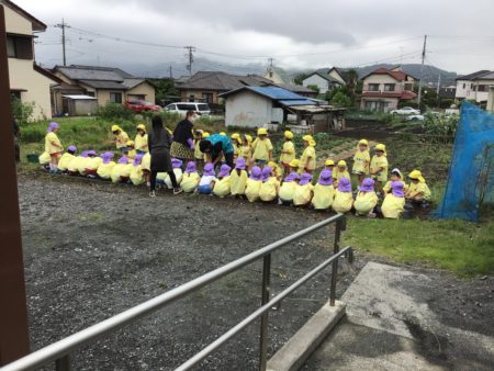 最近の幼稚園