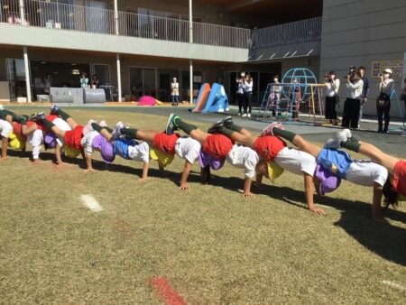 ぽかぽか小春日和