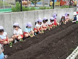 $富士光明幼稚園のブログ