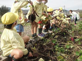 富士光明幼稚園のブログ